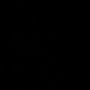 Meet your Posher, Ana